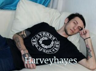 Harveyhayes