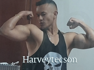 Harveytecson