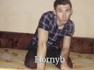 Hornyb