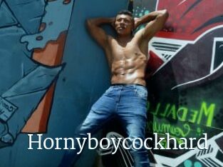 Hornyboycockhard