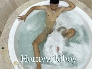 Hornywildboy