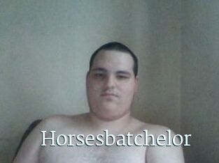 Horsesbatchelor