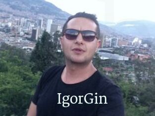 IgorGin