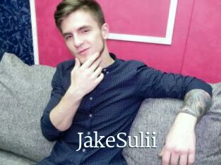 JakeSulii