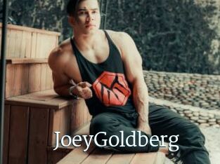 JoeyGoldberg