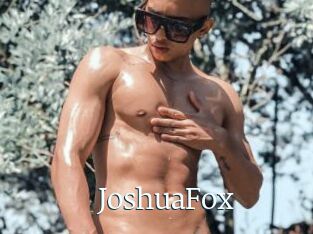 JoshuaFox