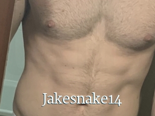 Jakesnake14