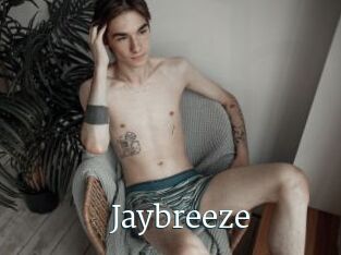 Jaybreeze