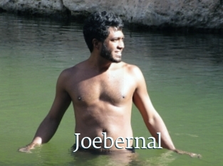 Joebernal