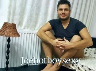 Joehotboysexy