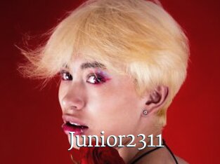 Junior2311