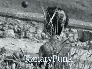 KanaryPunk
