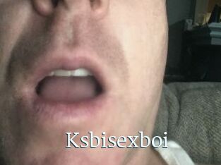 Ksbisexboi