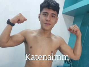 Katenaimm