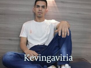 Kevingaviria