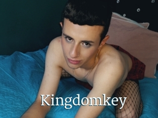 Kingdomkey