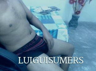 LUIGUISUMERS