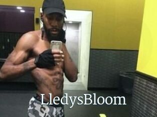 Lledys_Bloom