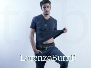 LorenzoBurnB