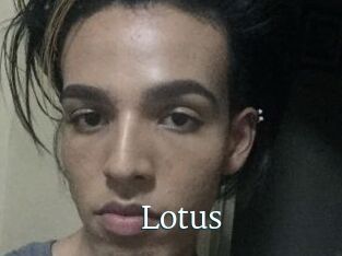 Lotus