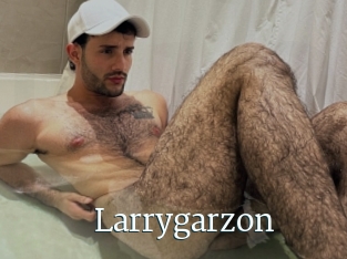 Larrygarzon