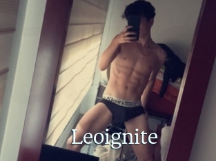 Leoignite
