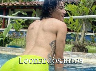 Leonardosantos