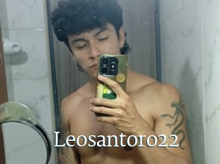 Leosantoro22