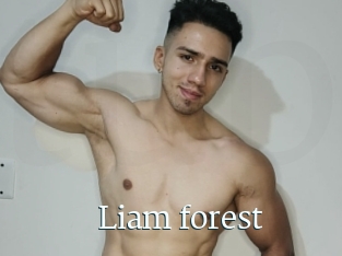 Liam_forest