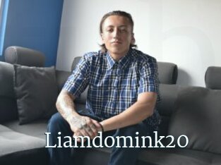 Liamdomink20