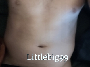 Littlebig99