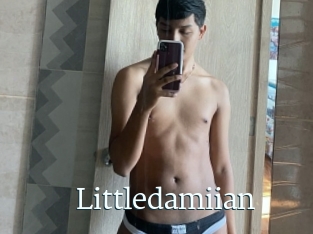 Littledamiian