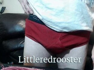 Littleredrooster