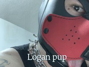Logan_pup