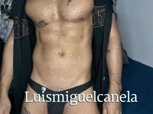 Luismiguelcanela
