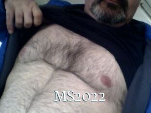 MS2022
