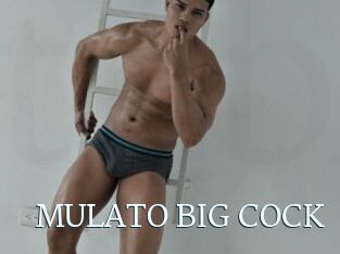 MULATO_BIG_COCK