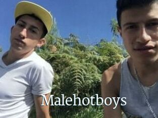 Malehotboys