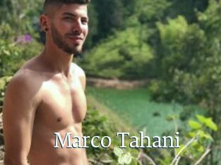 Marco_Tahani