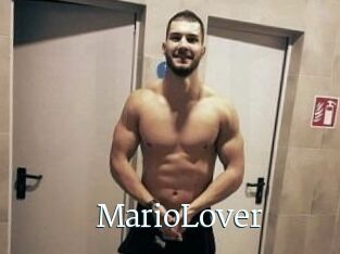 MarioLover