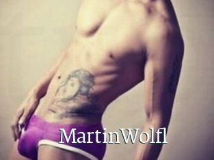 Martin_Wolfl