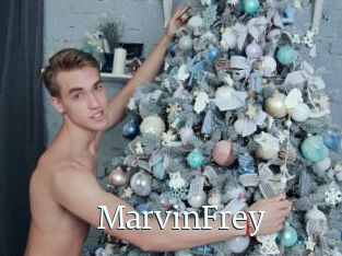 MarvinFrey