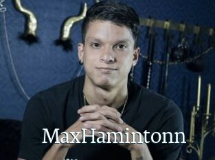 MaxHamintonn