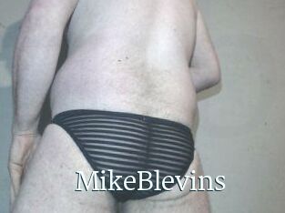 Mike_Blevins