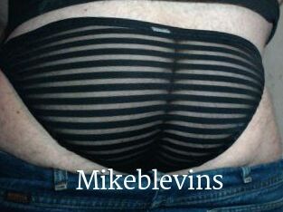 Mikeblevins