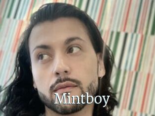 Mintboy