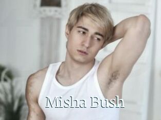 Misha_Bush