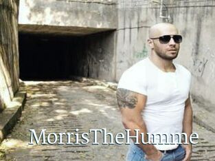 MorrisTheHumme