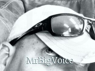 MrBigVoice