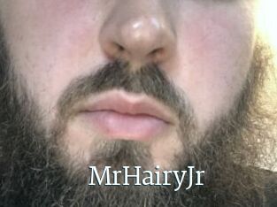 MrHairyJr